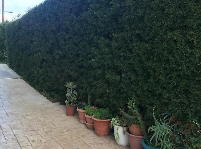Livadia Studio